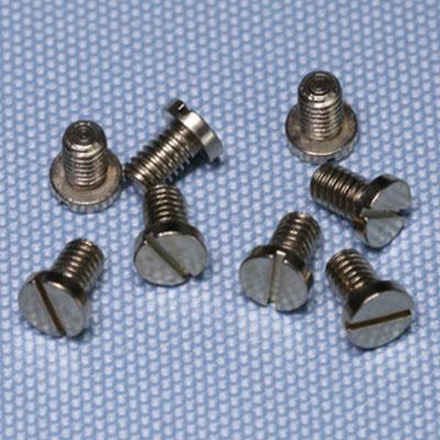 Stainless slotted head screw
