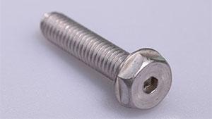 Stainless steel Hex Bolt